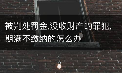被判处罚金,没收财产的罪犯,期满不缴纳的怎么办