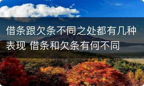 借条跟欠条不同之处都有几种表现 借条和欠条有何不同