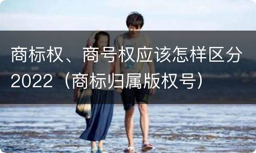 商标权、商号权应该怎样区分2022（商标归属版权号）