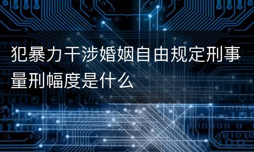 犯暴力干涉婚姻自由规定刑事量刑幅度是什么