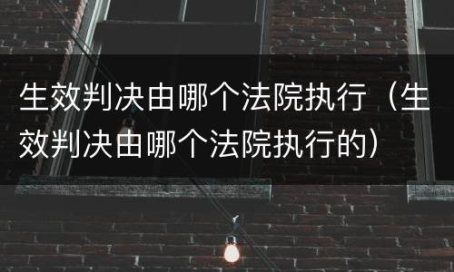 生效判决由哪个法院执行（生效判决由哪个法院执行的）