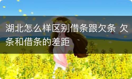 湖北怎么样区别借条跟欠条 欠条和借条的差距