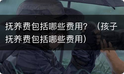抚养费包括哪些费用？（孩子抚养费包括哪些费用）