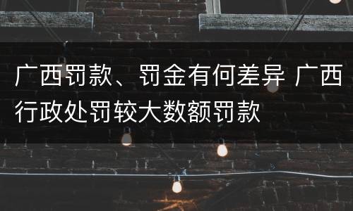广西罚款、罚金有何差异 广西行政处罚较大数额罚款