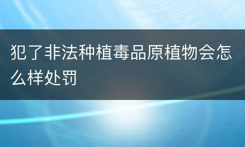 犯了非法种植毒品原植物会怎么样处罚