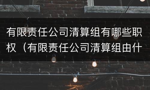 有限责任公司清算组有哪些职权（有限责任公司清算组由什么组成）