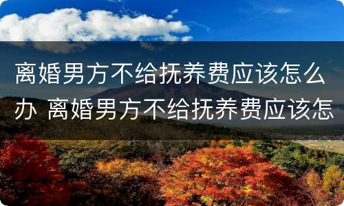 离婚男方不给抚养费应该怎么办 离婚男方不给抚养费应该怎么办理