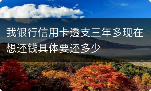 我银行信用卡透支三年多现在想还钱具体要还多少