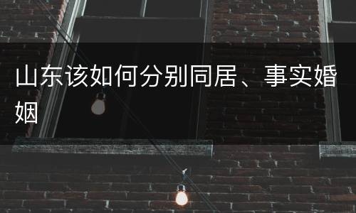 山东该如何分别同居、事实婚姻