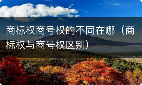 商标权商号权的不同在哪（商标权与商号权区别）