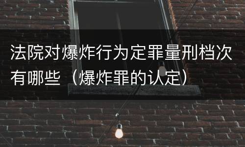 法院对爆炸行为定罪量刑档次有哪些（爆炸罪的认定）