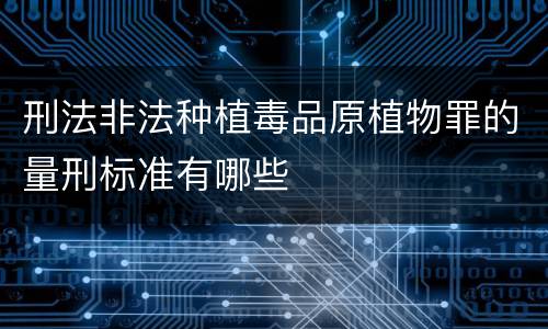 刑法非法种植毒品原植物罪的量刑标准有哪些