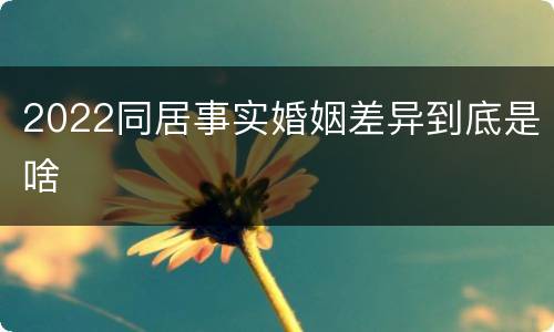 2022同居事实婚姻差异到底是啥