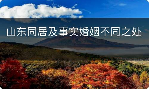 山东同居及事实婚姻不同之处