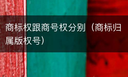 商标权跟商号权分别（商标归属版权号）