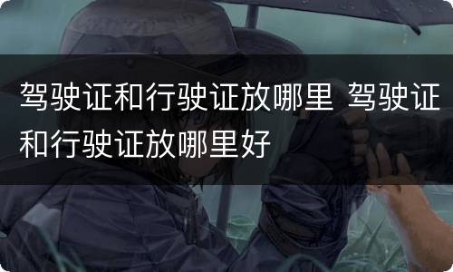 驾驶证和行驶证放哪里 驾驶证和行驶证放哪里好