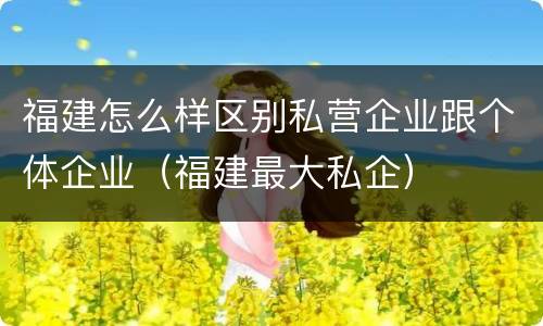 福建怎么样区别私营企业跟个体企业（福建最大私企）