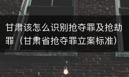 甘肃该怎么识别抢夺罪及抢劫罪（甘肃省抢夺罪立案标准）