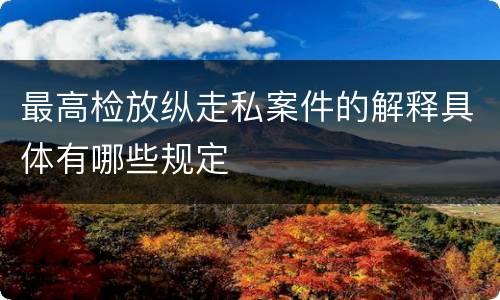 最高检放纵走私案件的解释具体有哪些规定