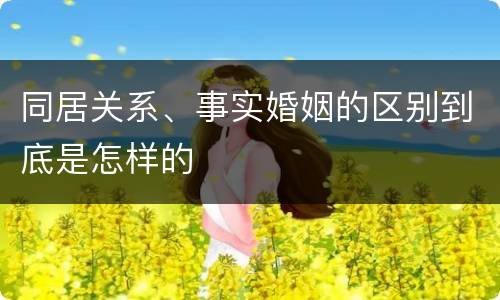 同居关系、事实婚姻的区别到底是怎样的
