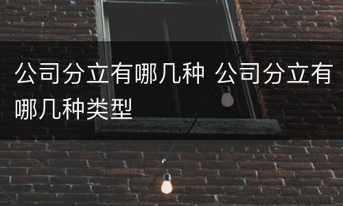 公司分立有哪几种 公司分立有哪几种类型