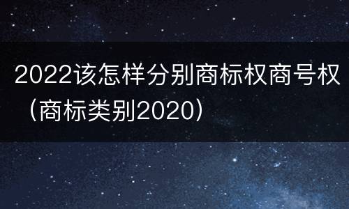 2022该怎样分别商标权商号权（商标类别2020）