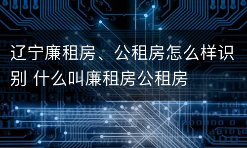辽宁廉租房、公租房怎么样识别 什么叫廉租房公租房