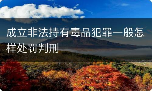 成立非法持有毒品犯罪一般怎样处罚判刑