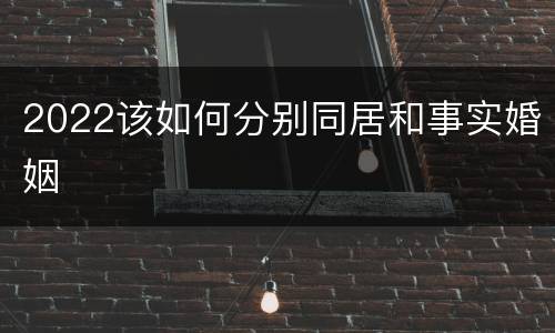2022该如何分别同居和事实婚姻