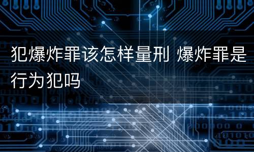 犯爆炸罪该怎样量刑 爆炸罪是行为犯吗