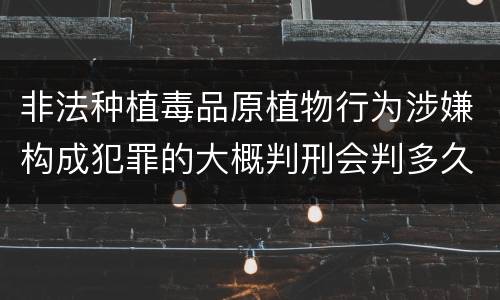 非法种植毒品原植物行为涉嫌构成犯罪的大概判刑会判多久