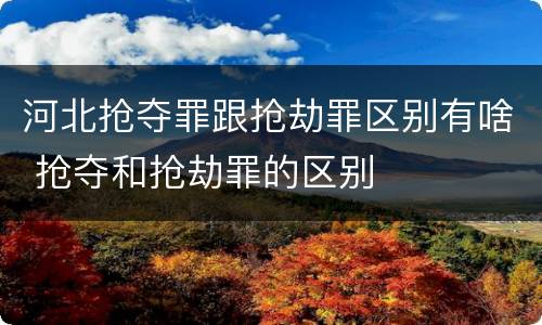 河北抢夺罪跟抢劫罪区别有啥 抢夺和抢劫罪的区别