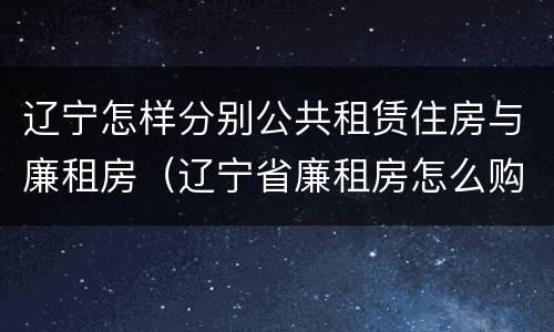 辽宁怎样分别公共租赁住房与廉租房（辽宁省廉租房怎么购买产权）
