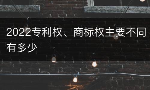 2022专利权、商标权主要不同有多少