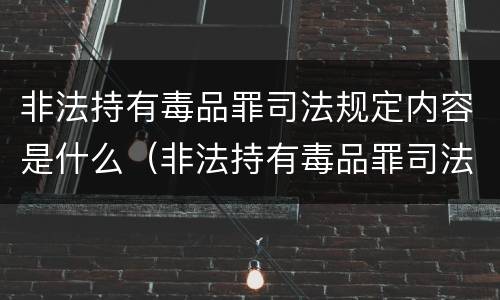 非法持有毒品罪司法规定内容是什么（非法持有毒品罪司法规定内容是什么呢）