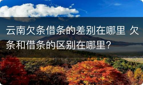 云南欠条借条的差别在哪里 欠条和借条的区别在哪里?