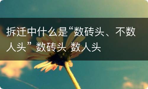 拆迁中什么是“数砖头、不数人头” 数砖头 数人头