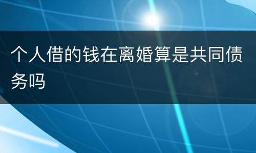 个人借的钱在离婚算是共同债务吗