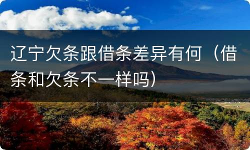 辽宁欠条跟借条差异有何（借条和欠条不一样吗）