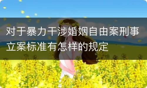对于暴力干涉婚姻自由案刑事立案标准有怎样的规定