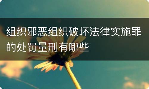 组织邪恶组织破坏法律实施罪的处罚量刑有哪些