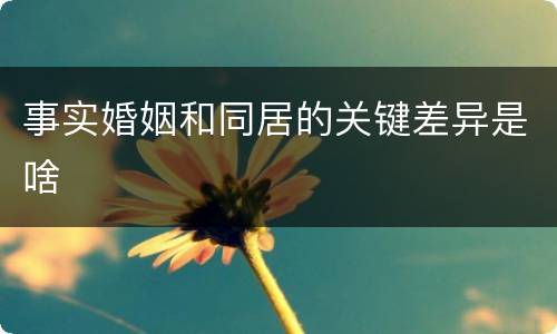 事实婚姻和同居的关键差异是啥