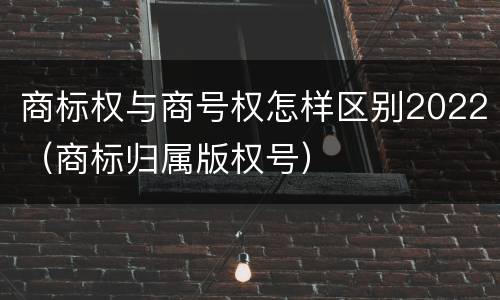 商标权与商号权怎样区别2022（商标归属版权号）