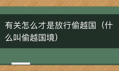 有关怎么才是放行偷越国（什么叫偷越国境）