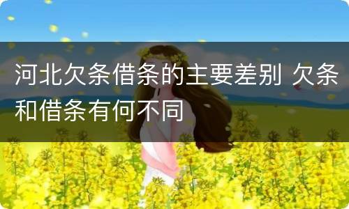 河北欠条借条的主要差别 欠条和借条有何不同