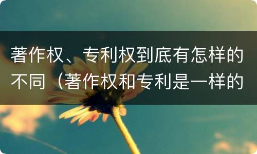 著作权、专利权到底有怎样的不同（著作权和专利是一样的吗）