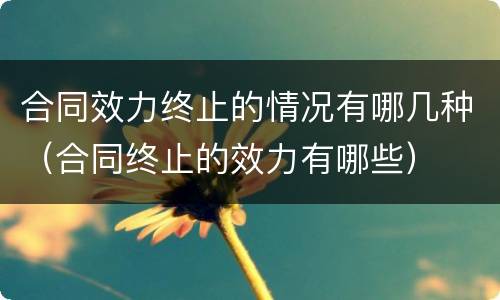 合同效力终止的情况有哪几种（合同终止的效力有哪些）