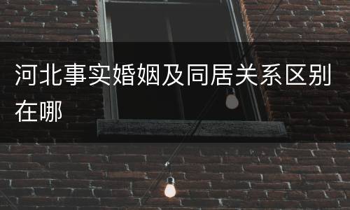 河北事实婚姻及同居关系区别在哪