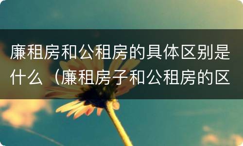 廉租房和公租房的具体区别是什么（廉租房子和公租房的区别）