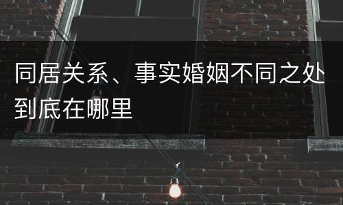 同居关系、事实婚姻不同之处到底在哪里